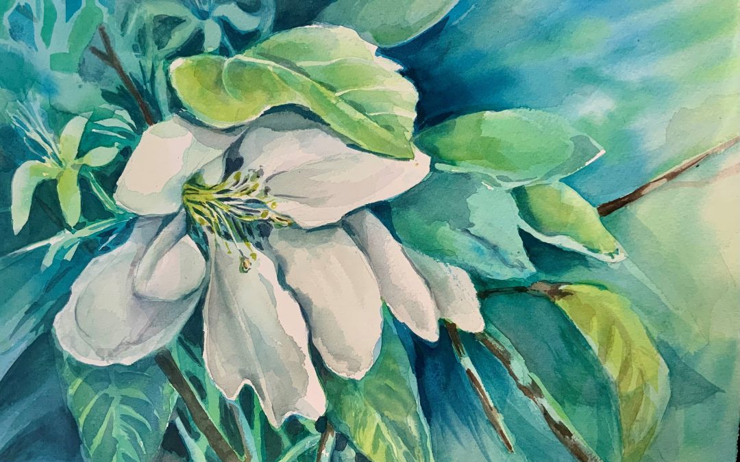 Introduction to Watercolour with Pauline Goss, 8 weeks,  Oct 5th – Nov 30th 2024